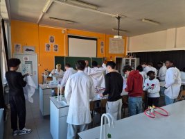 Voyage à Braekel -Atheneum 4