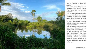 3ème Prix du parrain : Reflet dans l'eau – Emmie MILLION