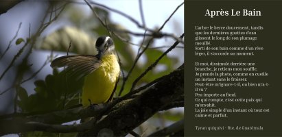 • 2ème Prix des Enseignants et 2ème Prix du Parrain : Après le bain – Yohan (…)